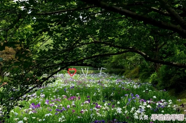 王者荣耀西施无小内无爱心有特效吗？最新动态解析她的技能与特效效果！