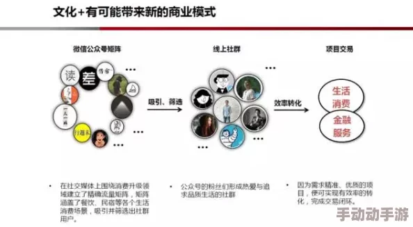 xxxxxwww：深入了解互联网的演变及其对现代社会的影响，解析网络文化与用户行为的关系