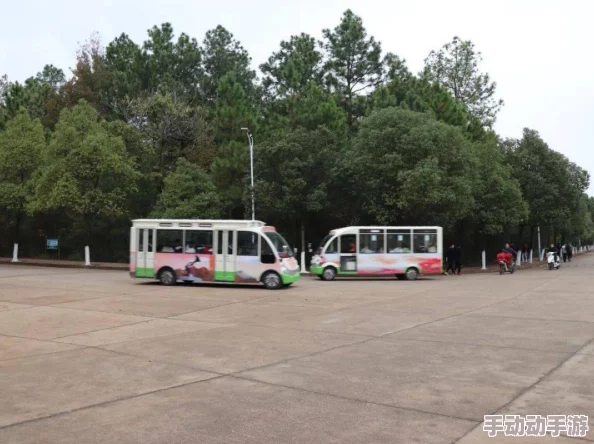老司机黄铯网：最新动态揭示平台内容更新与用户互动提升，吸引更多年轻用户关注与参与