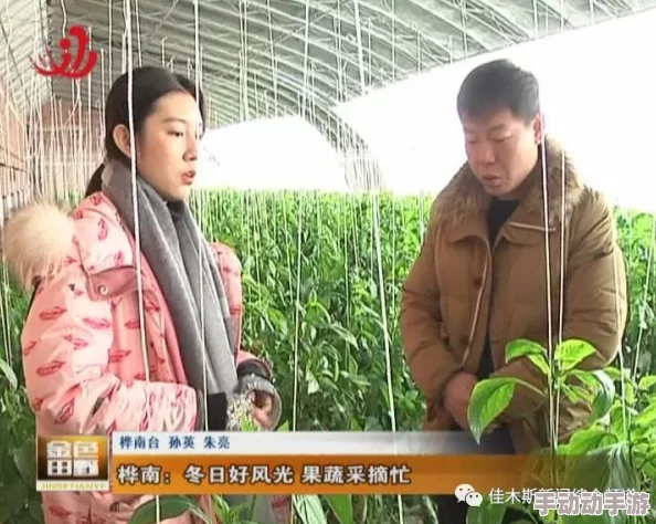 黑龙江省最新动态：全面推进乡村振兴战略，助力农民增收致富新举措出台