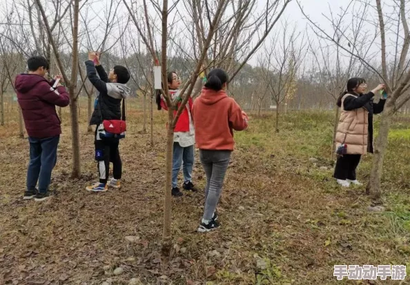 绿意盎然海角侄子女方订婚，亲友齐聚共庆美好时刻，幸福氛围洋溢在每一个角落