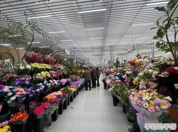 乌克兰精品摘花处破：影响国际花卉市场供应链，推动本土农业变革的重要节点分析