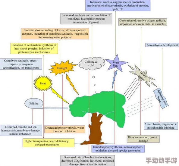 巨大进出花液抽搐：科学家发现新机制揭示植物如何应对环境压力与生长调节的关系