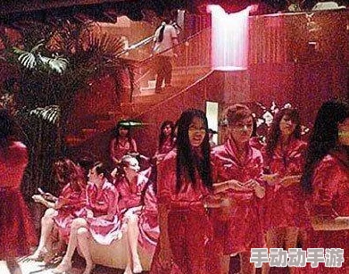 探索三及璜铯片背后的文化现象：从娱乐产业到社会影响的深度剖析与思考