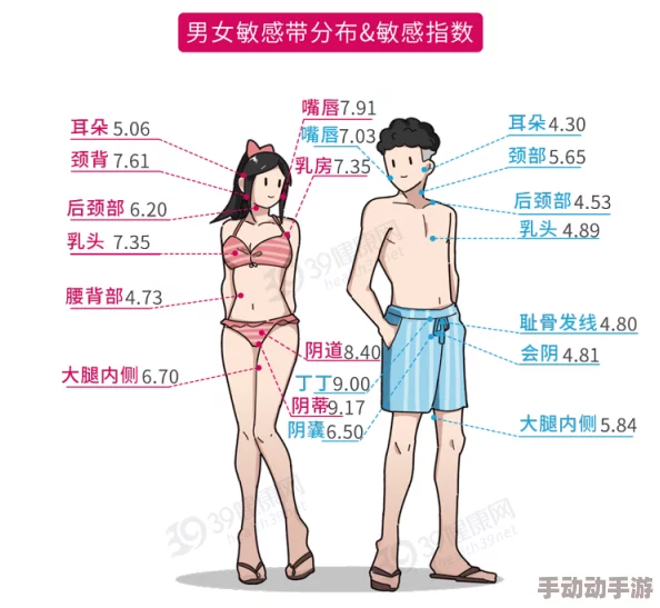 探讨女性身体美：胸部与下部隐私的文化象征与社会认知