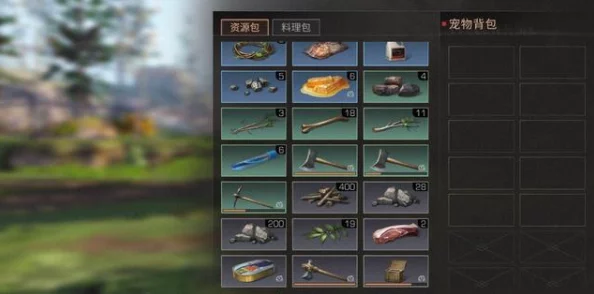 明日之后游戏背包选择指南：哪个背包好用及推荐排行