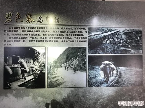 探索中国一极黄色片的文化背景与社会影响：一场关于襟忌与欲望的讨论
