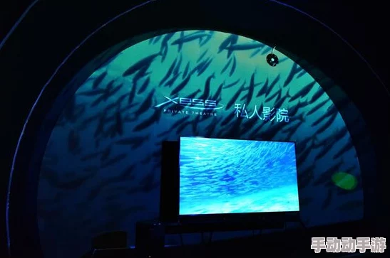 探索老湿司午夜爽爽影院榴莲视频的独特魅力与精彩内容