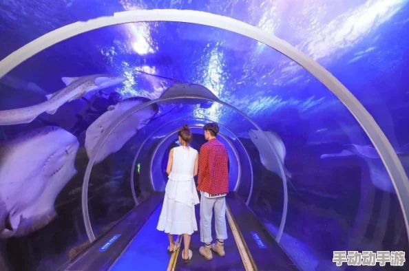 探索云韵3D：沉浸式体验带你领略虚拟世界的无限魅力与可能性