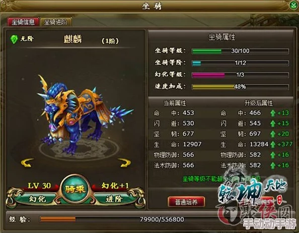 天空之门坐骑幻化方法全面介绍：解锁炫酷外观的必备攻略