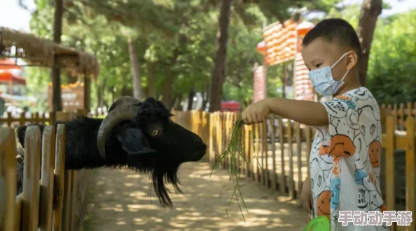 探索在线亚洲一区：畅享多元文化与无限娱乐的全新数字体验之旅