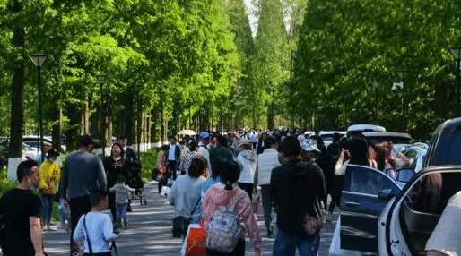 探索视觉与感官的极致体验：一边享受美食，一边释放自我，尽在这场别开生面的互动视频盛宴！