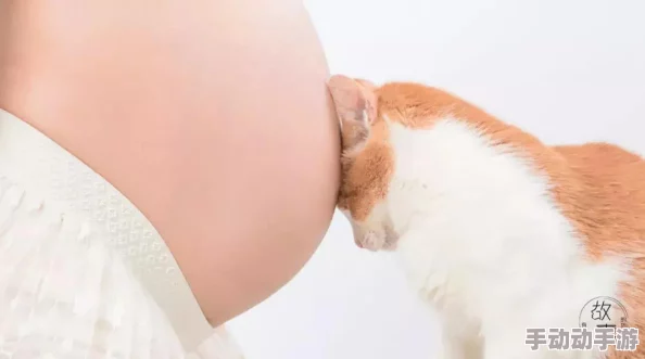 孕妇的幸福时光：探索15种亲密互动方式，感受爱的温暖与生命的奇迹