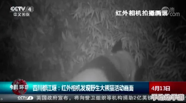 探索中国精品BDSM文化：独特体验与深度解析之旅
