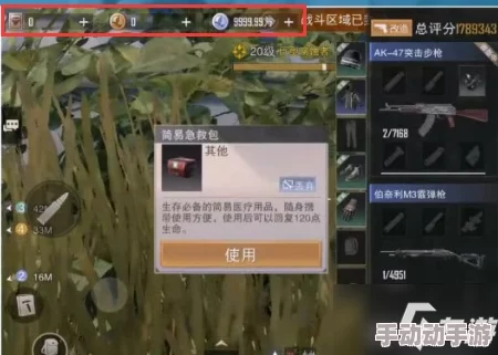 代号生机游戏攻略：如何有效消除红名状态的方法与技巧