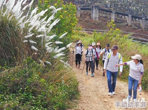 黎明之路手机畅玩所需基本配置要求全面介绍指南