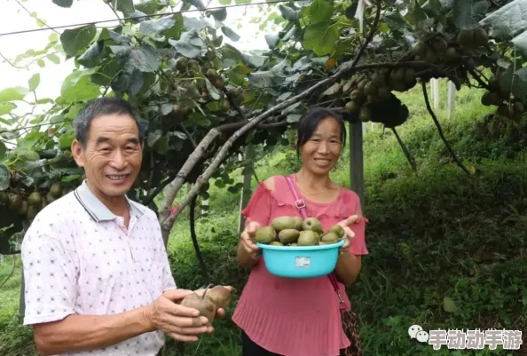 中国老太婆下面毛茸茸，反映了社会对老年人身体形象的多元理解与接受，以及文化中对自然状态的不同看法