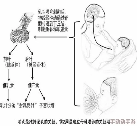 探索奶水hhh的奇妙世界：从母乳喂养到营养价值，揭示背后的科学与文化