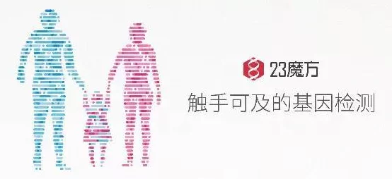 探索身体的奥秘：一场关于感官与情感交织的全新体验，尽在“做爰全过程一进一出抽搐免费”的奇妙旅程中！