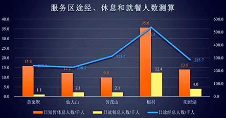 探索国产髦片一区：揭示其背后的文化现象与市场趋势