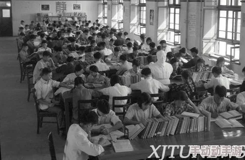 探索欧美人与鲁交大文化交流的独特视角：一场关于教育与艺术的免费视觉盛宴