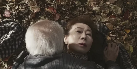 探索另类魅力：FFEE性XXⅩ与成熟老妇的激情碰撞，揭示隐藏在HD画面背后的故事与情感