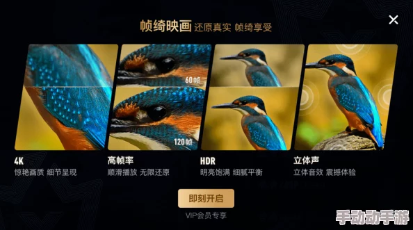 探索最新最全的一极髦片免费视频网站，畅享高清影视体验与多样化内容