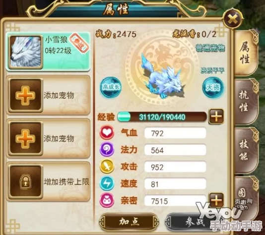 热血神剑手游：宠物能力快速提升技巧与高效培养攻略