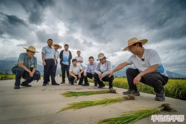 A及小视频最新进展：行业规范逐步完善，内容审核机制日益严格，用户体验持续提升