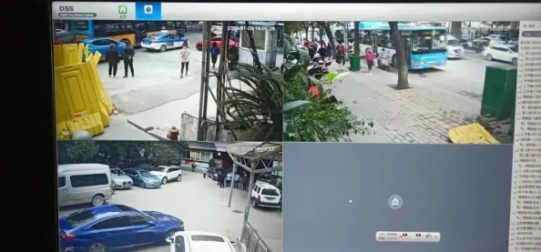 探索我的起源：信息虫在数据追踪与起源解析中的独特作用