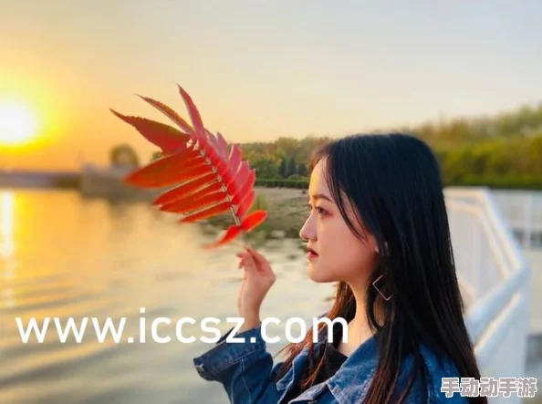 17cc网女尤爆料一区二区三区：最新动态曝光，深度解析网络女尤背后的真相与影响
