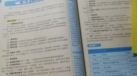 荒野日记剧情模式关键点深度解析与高效过关技巧指南