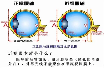 高h在线视频网友认为这种内容虽然吸引眼球但可能对青少年产生不良影响，呼吁加强监管与引导