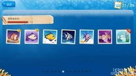 开心水族箱高效挂宝技巧与策略，助你轻松获取稀有宝藏方法大全