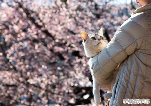 老太奶性HD大全： 网友评论：这个系列真是让人看了眼前一亮，画质清晰，内容丰富值得收藏！