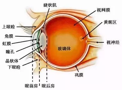 看一极黄色大片网友认为这种内容虽然吸引眼球但可能对青少年产生不良影响，呼吁加强网络监管和自我保护意识