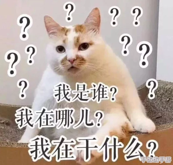 特级髦片在线，内容丰富多样，让人耳目一新，非常值得一看！