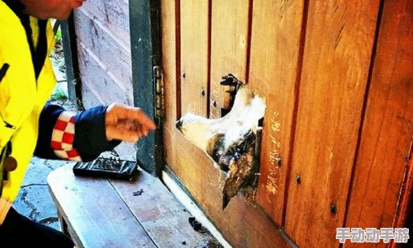 一人一狗卡住6小时要紧吗？最新动态：救援队已赶到现场，情况逐渐好转，预计很快将解救