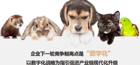 宠物风暴：全面指南——如何科学培养与照顾你的萌宠