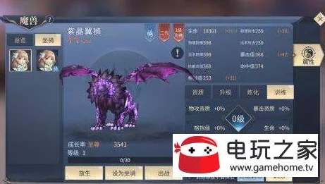 斗破苍穹手游卡顿解决技巧及如何开启高帧率流畅体验