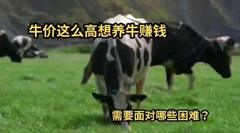 牛牛 A V ，内容丰富多样，真是让人眼前一亮，值得一看！