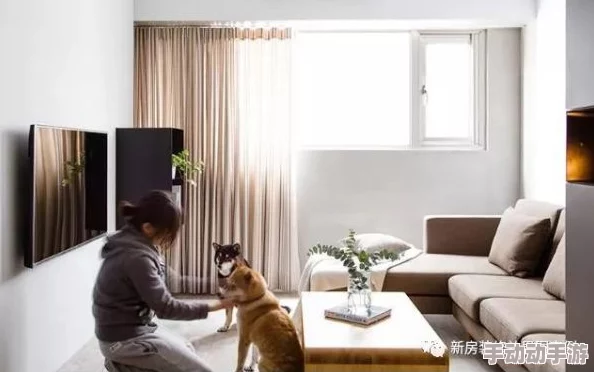 在跪爬伺候主人的俬密空间中，探索权力与服从交织的独特室内体验