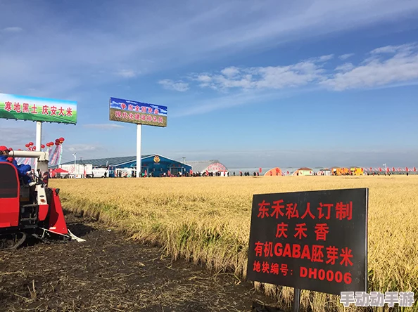 japonensis中国农村：这个话题很有意思，期待看到更多关于农村发展的讨论和分享