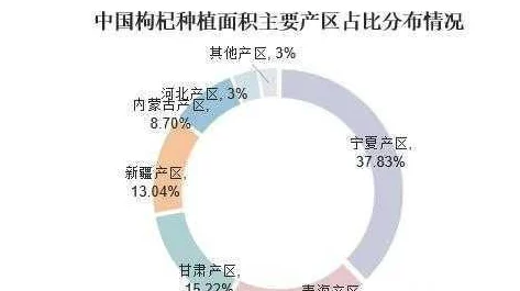 51精产国品橙人日韩无玛区别：传闻某知名品牌即将推出新系列，或引发市场大变革！