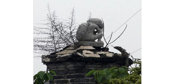 两个人生猴子，真是让人感到不可思议，这样的选择背后有什么故事呢？