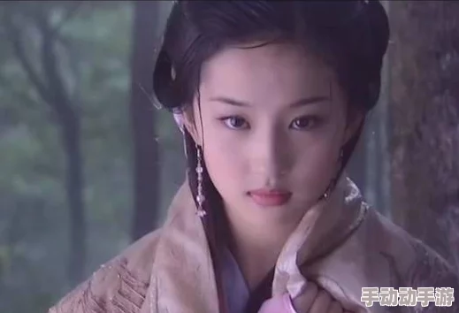 大宋少年志武林大会玩法揭秘：策略对决与成长历练全攻略