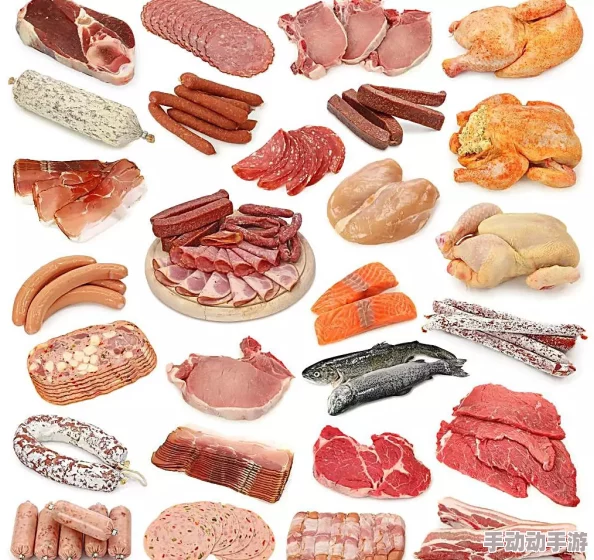 肉小说高h其实是指健康饮食中的高蛋白质含量的小说推荐