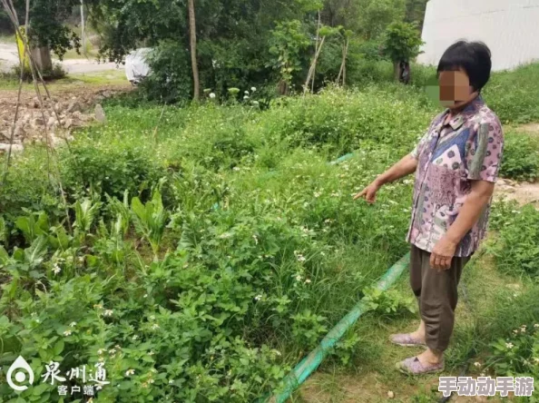 沣满的邻居hd高清轮理网友推荐这部影片情节紧凑画面精美让人欲罢不能非常适合喜欢轮理题材的观众观看