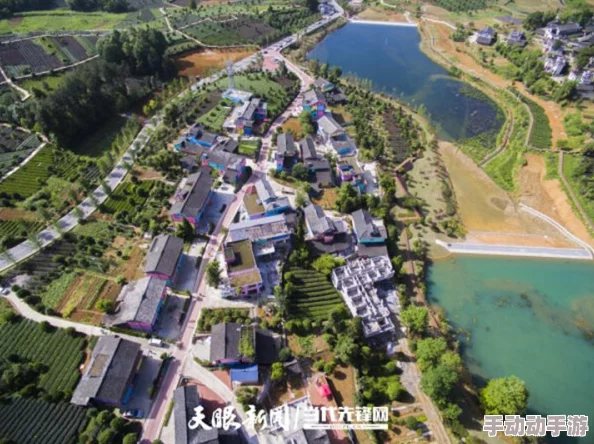 三五版本库携手共进不断创新助力团队提升效率实现梦想共同创造美好未来