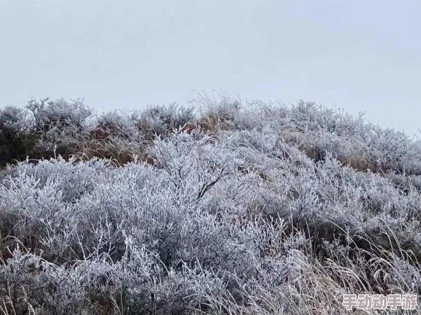 久久精品电影天堂网在传播正能量方面发挥了重要作用通过优质影片激励观众追求梦想与积极生活态度